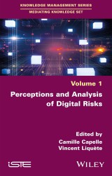 Perceptions and Analysis of Digital Risks