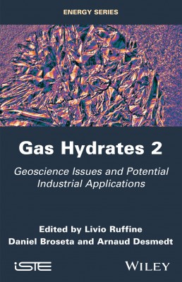 Gas Hydrates 2