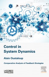 Control in System Dynamics