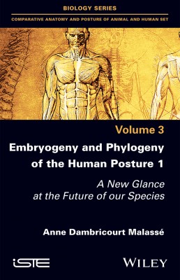 Embryogeny and Phylogeny of the Human Posture 1