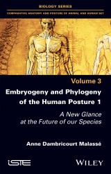 Embryogeny and Phylogeny of the Human Posture 1