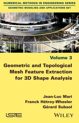 Geometric and Topological Mesh Feature Extraction for 3D Shape Analysis