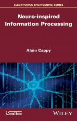 Neuro-inspired Information Processing