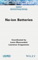 Na-ion Batteries