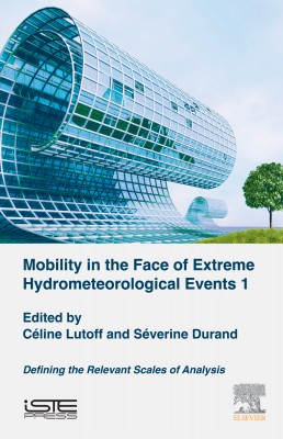 Mobility in the Face of Extreme Hydrometeorological Events 1