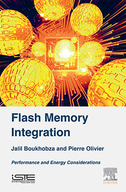 Flash Memory Integration