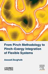 From Pinch Methodology to Pinch-Exergy Integration of Flexible Systems