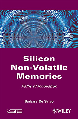 Silicon Non-Volatile Memories