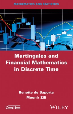 Martingales and Financial Mathematics in Discrete Time