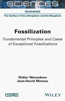 Fossilization