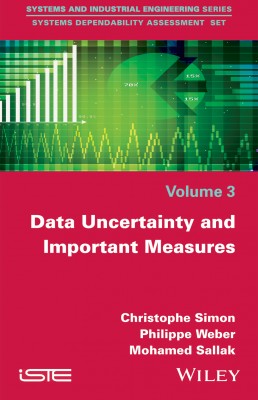 Data Uncertainty and Important Measures