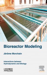 Bioreactor Modeling