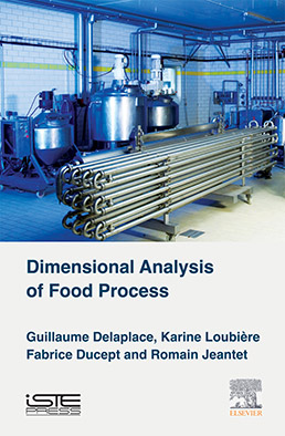 Dimensional Analysis of Food Processes