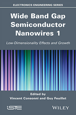 Wide Band Gap Semiconductor Nanowires for Optical Devices 1