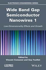 Wide Band Gap Semiconductor Nanowires for Optical Devices 1